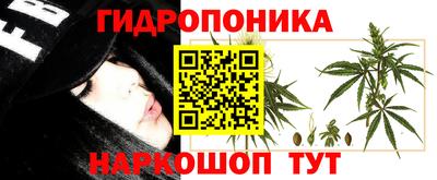 ПСИЛОЦИБИНОВЫЕ ГРИБЫ Пушкино